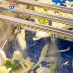 Bubble washing vibration air drying production line Orange Vegetable Herbs Fruit processing production Machine