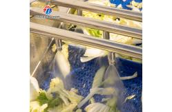 China X Fruit And Vegetable Processing Line 2025 With Advanced Technology supplier
