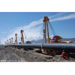 UHMWPE Wear Resistant Pipe For Industrial Chemical Fluid Delivering for sale