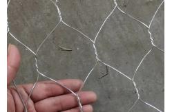 China Rivers Prevention 6X8cm 3.5mm Hex Wire Netting Double Twisted Hexagonal Wire Mesh supplier