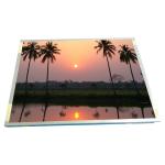 LCD Display Screen 19.6 Inch Original In Stock R196UFE-L01 for sale