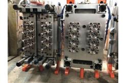China Rotary PET Preform Injection Mold Precise Muticavity Injection Mould Tool supplier