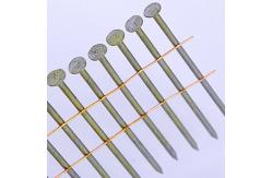 China Wire Collated Screw Ring Smooth Wood Pallet Coil Nail supplier