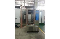 China Artificial Climate Test Cabinet Temperature Humidity Chamber Intellective Climate Cabinet supplier
