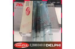 China A6640170021 DELPHI Common Rail Injector supplier