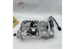 China Fuel Injection Pump T73208219 for 1006TG3 1006TG Excavator supplier