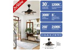 China 1stshine Black Traditional PC Hidden Blades Ceiling Fan with Remote 2- Lighting Solutions supplier
