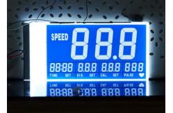 China STN HTN FSTN TN Va Monochrome LCD Display Screen 7 Segment Display Module supplier
