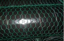 China 2'' PVC Coated Poultry Netting 15M hot dipped galvanized hexagonal wire mesh supplier