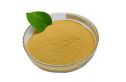 China Bacillus Subtilis Ruminants Feed Probiotics 100 Billion CFU/G In Poultry Feed supplier