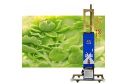 China Zkmc 3d UV Wall Printer , Limitless Width Direct To Wall Inkjet Printer supplier