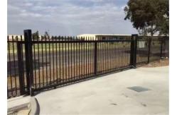 China Powder Coated 4x8 Wrought Iron Fence Panels , Wrought Iron Fence Gate supplier
