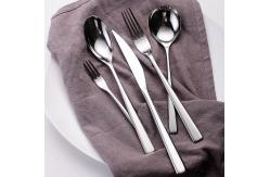 China NEWTO  NC008 Stainless Steel Flatware/Dinnerware/Cutlery set/Le posate supplier