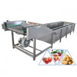 Automatic Carrot Chilli 1200kg/H Vegetable Bubble Washing Machine for sale