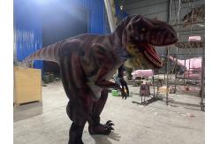 China Life Size Customization Realistic Dinosaur Costume For Playroom supplier