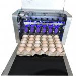 Digital Egg Marking Equipment / Egg Date Stamp Machine For Duck or Pineal Eggs for sale