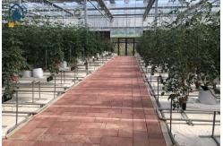 China Agricultural Substrate Planting Gutter Steel Large Scale Hydroponic Planting System supplier