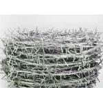 Military Double Twist Steel Barbed Wire 12X14 Gauge 25kg/Roll for sale