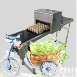 High Speed Eggs Code Printing Machine / Egg Date Stamp Machine