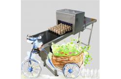 China High Speed Eggs Code Printing Machine / Egg Date Stamp Machine supplier