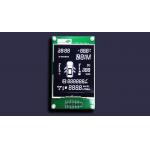 RY15646A-01A Custom Lcd Panel For Car Radios And Industrial Instruments