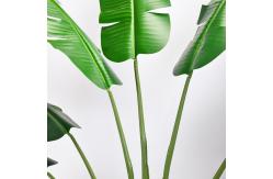China 200cm Traveller'S Palm Artificial Landscape Trees For Low Maintenance Evergreen Plants supplier