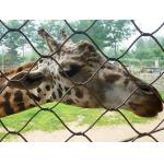 Durable Stainless Steel Zoo Mesh , animals cage Wire ropeMesh For Giraffe fencing