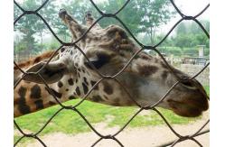 China Durable Stainless Steel Zoo Mesh , animals cage Wire ropeMesh For Giraffe fencing supplier