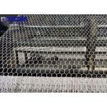 Double Twist Electrical Galvanized Hexagonal Chicken Wire Mesh 1 2 Inch From Factory for sale