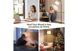 China 24W Therapy Floor Lamp Remote Control Touch Control Sad Floor Lamps supplier
