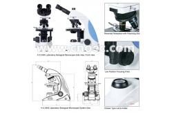 China Wide Angle Monocular Optical System Microscope 40x - 1000x A12.0905 supplier