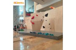 China High Durability Rock Climbing Wall Customizable Easy To Install supplier