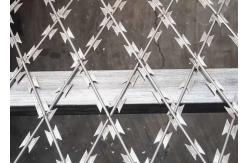 China Welded Galvanized Concertina Razor Barbed Wire Fencing With Loops supplier