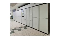 China Smart Gas Cylinder Vending And Exchange Locker With Big Screen And Wifi supplier