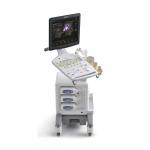 Prosound F37 Color Doppler Ultrasound System for sale