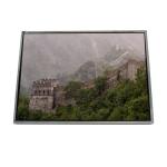 LTD141ECVV 14.1 inch LVDS 262K TFT-LCD Screen Display for sale