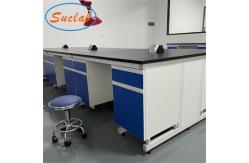 China Practical Wall Bench Laboratory Acid Resistant Multipurpose Antirust supplier