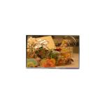 6.0 inch ZJ060IC-01G LCD Display Screen for Mobile Phone for sale