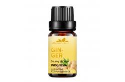 China 5ml Herbal Essential Oils MSDS Ginger Essential Oil Hair Growth OEM supplier