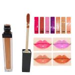 ODM 49 Color Biochemical Matt Lip Gloss Lipstick