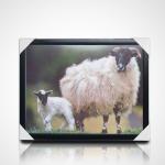 Customized 3D PET Lenticular Poster Printing 3D Painting with Black PS Frame for Home Decoration for sale