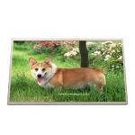 B133XW02 V0 LCD Display Screen LAPTOP 13.3 inch 1366*768 for sale