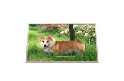 China B133XW02 V0 LCD Display Screen LAPTOP 13.3 inch 1366*768 supplier