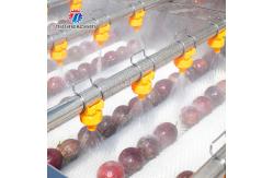 China Kiwi Carrot Taro Vegetable Brush Bubble Cleaning Machine 2.5KW supplier