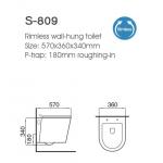 Ceramic Wall Hung Rimless Toilet with Concealed Cistern