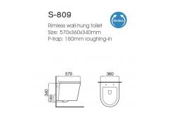 China Ceramic Wall Hung Rimless Toilet with Concealed Cistern supplier