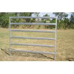 Used Cattle Corral Panels For Sale Permanent Yards Heavy Duty  Cattle Yards for sale