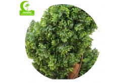 China Special Design Artificial Topiary Tree , 6ft Fake Plant Single Trunk supplier