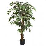 175cm Natural Trunk Artificial Variegated Ficus Tree for sale