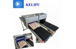 China Safety Egg Jet Coding Machine / Inkjet Marking Equipment For Time Date Characters supplier